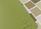 Pantone màu Polyester nhựa Coating hiệu suất cao cho kim loại đồ nội thất bằng thép